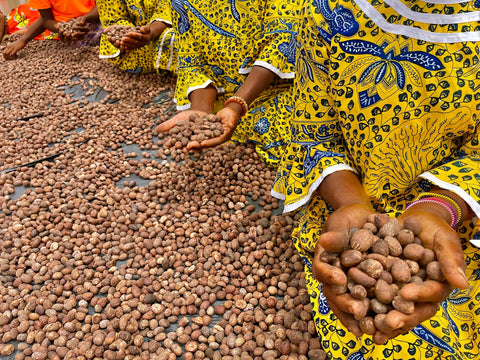 Hamamat Village Museum Experience