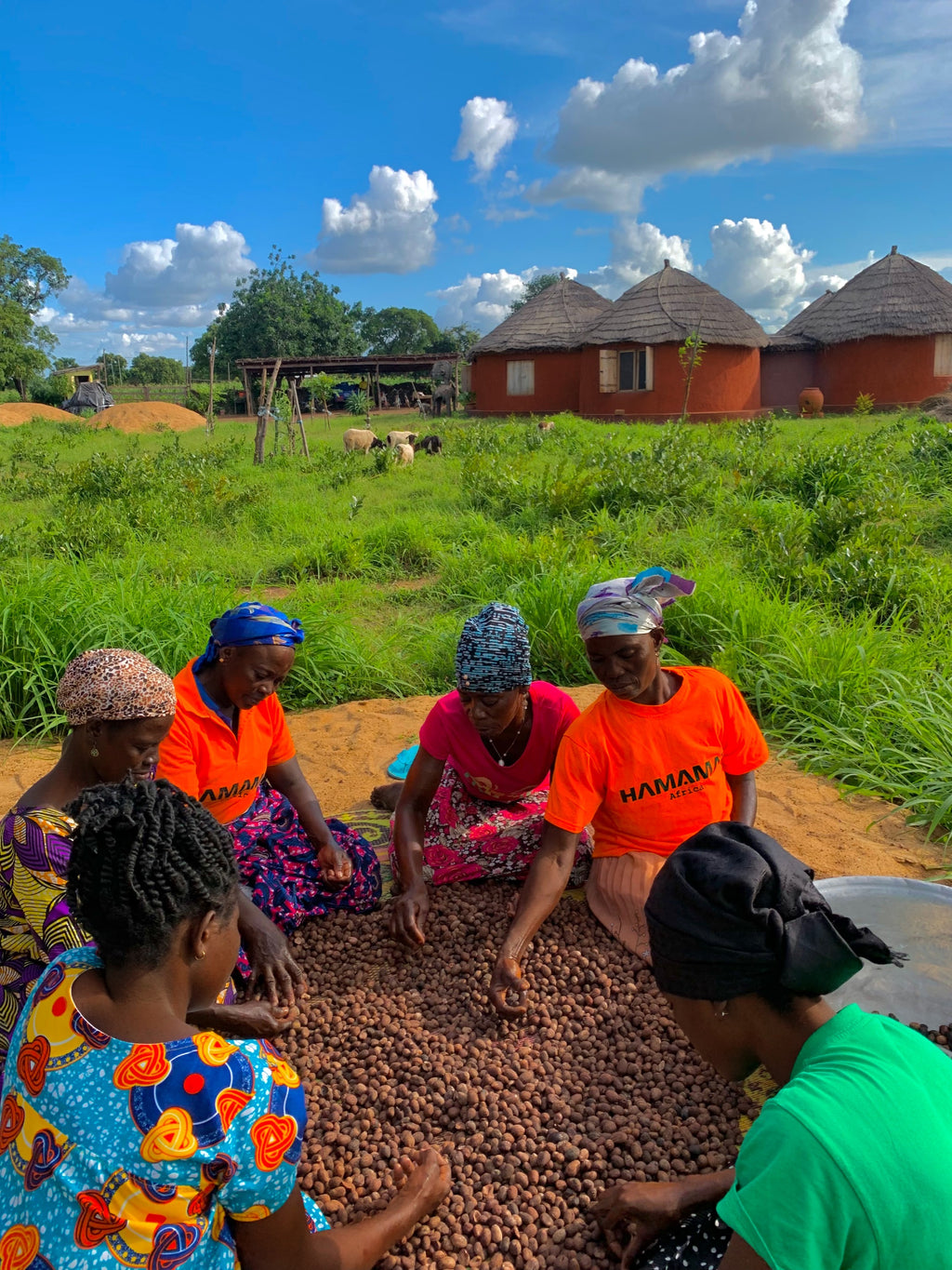 Join the Fertile Land Collective (Membership Unit)